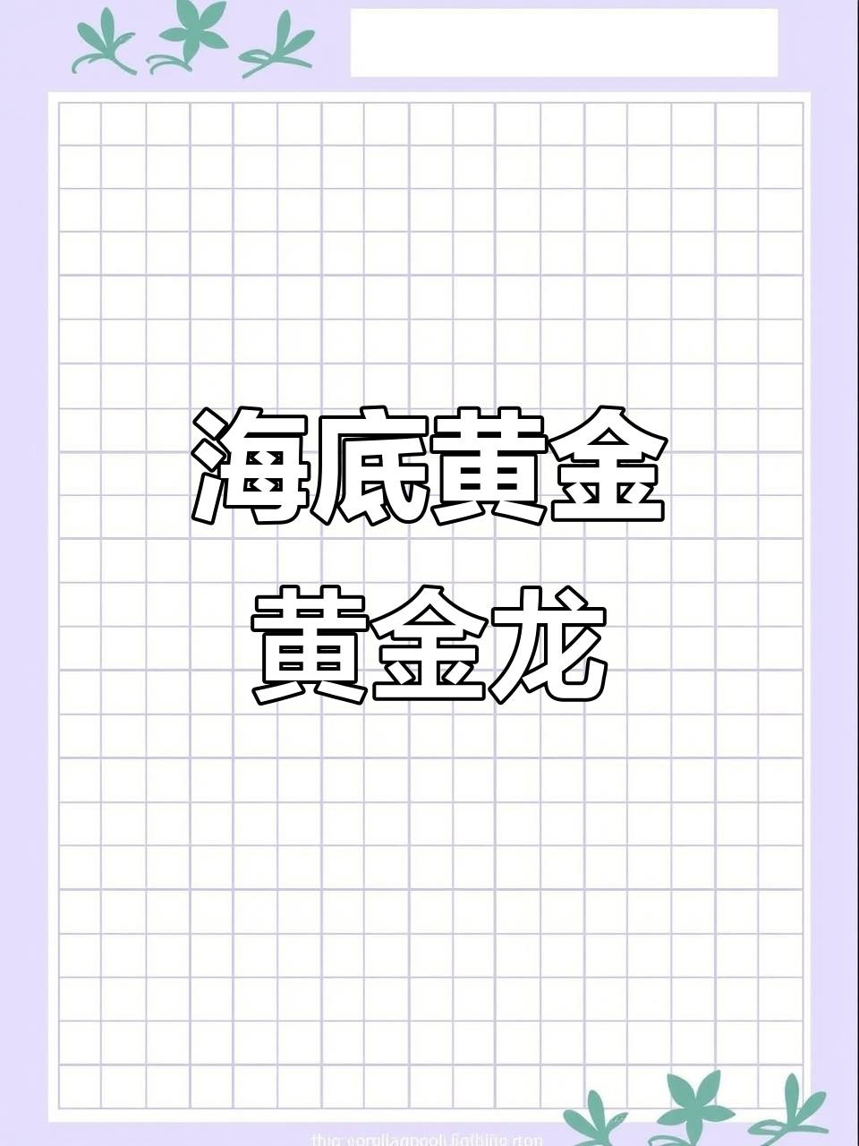 黄金龙鱼400块,海底宝藏般的金菠萝