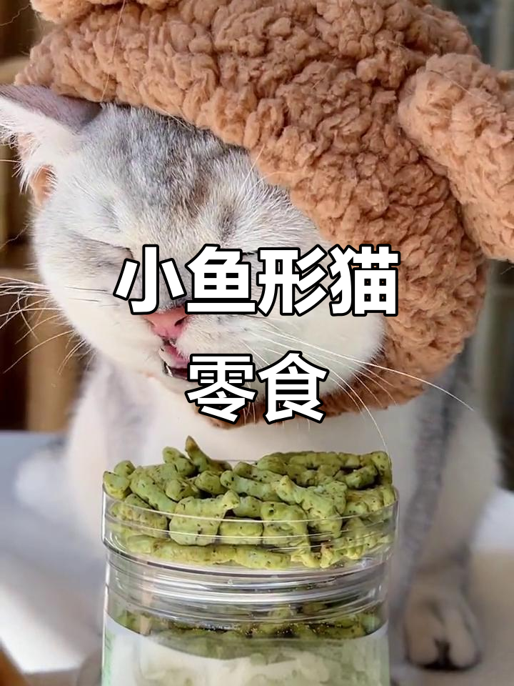 猫咪磨牙必备,小鱼形状零食让它们爱不释口