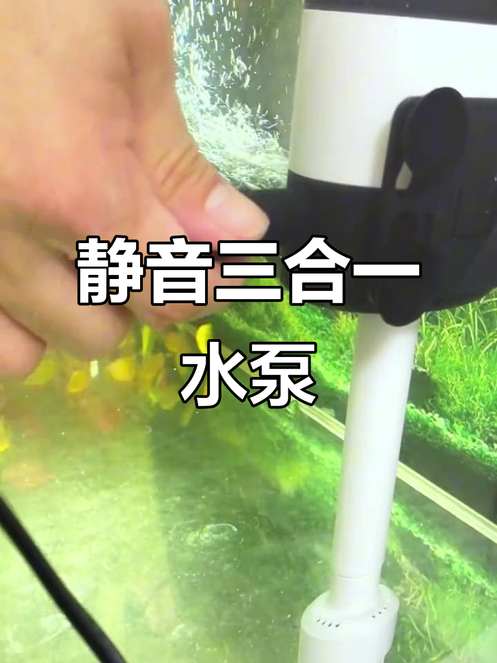 三合一潜水泵，增氧、造浪、抽水全搞定