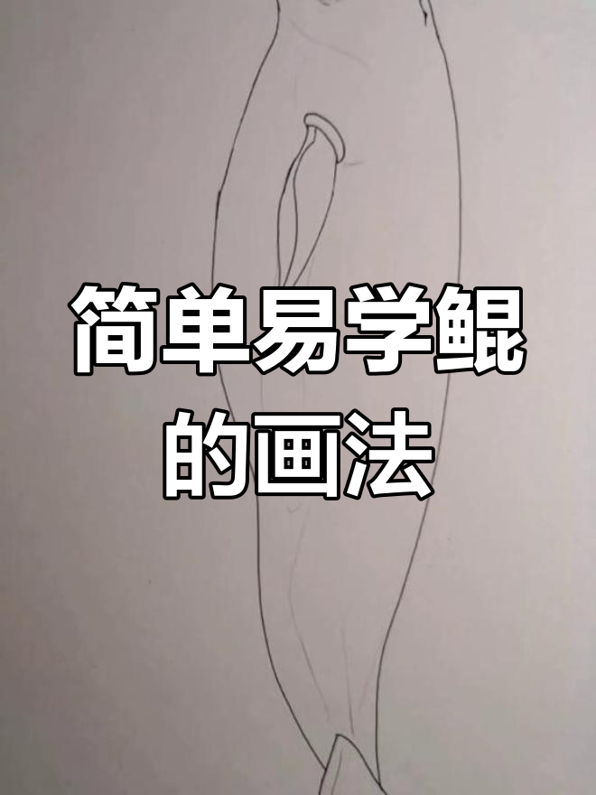 上古神兽鲲的简笔画教程,轻松学会画可爱鲲