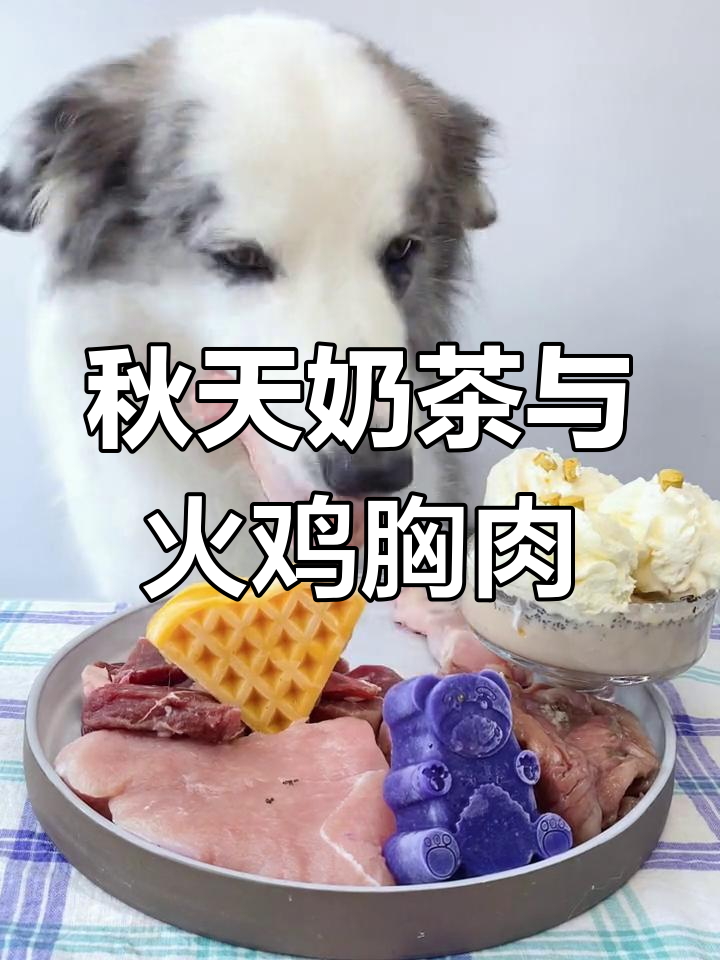 秋天的第一杯奶茶,干饭狗的幸福日常