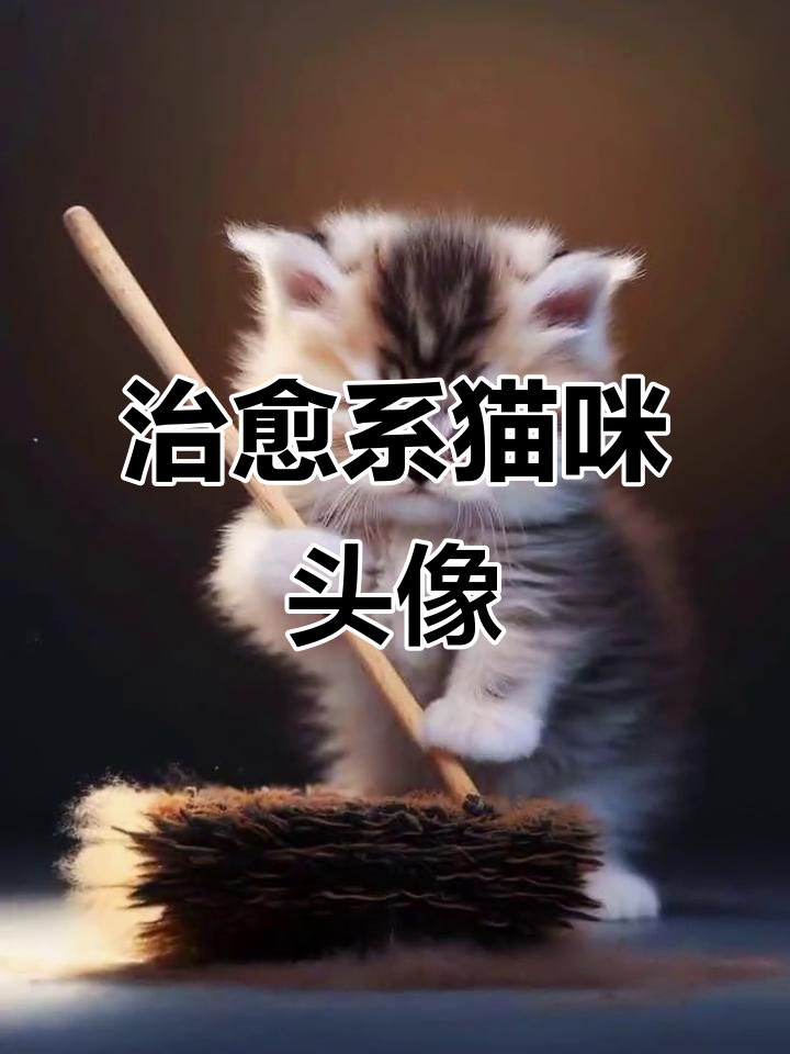 超萌猫咪头像，可爱到不行！