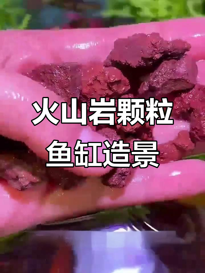 火山石鱼缸造景,打造自然生态底砂装饰