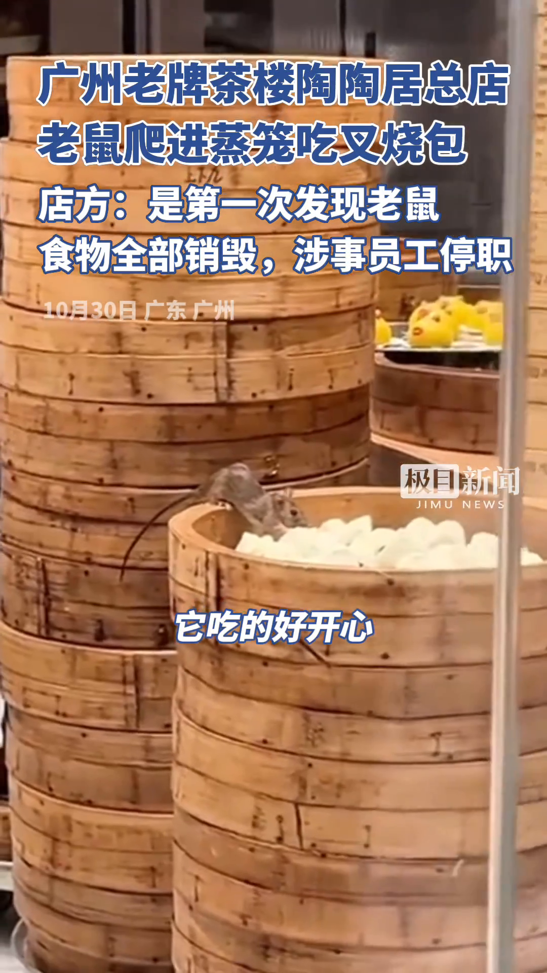 「视频」广州老牌茶楼里有老鼠爬进蒸笼吃叉烧包,店方:是第一次发现老鼠,食物全部销毁,涉事员