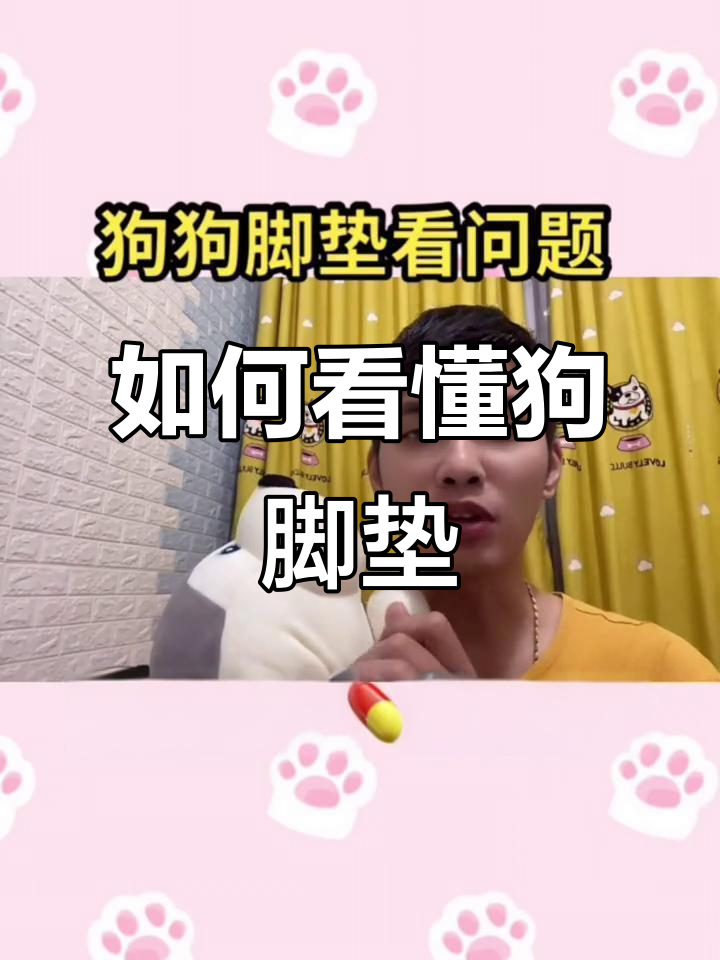 狗狗脚垫问题大揭秘,干裂、硬厚怎么办?