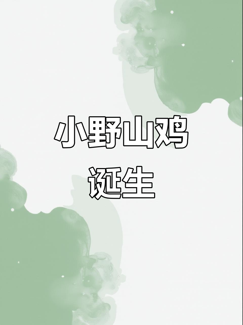 野山鸡破壳，小家伙像鹌鹑一样可爱，还在沉睡中