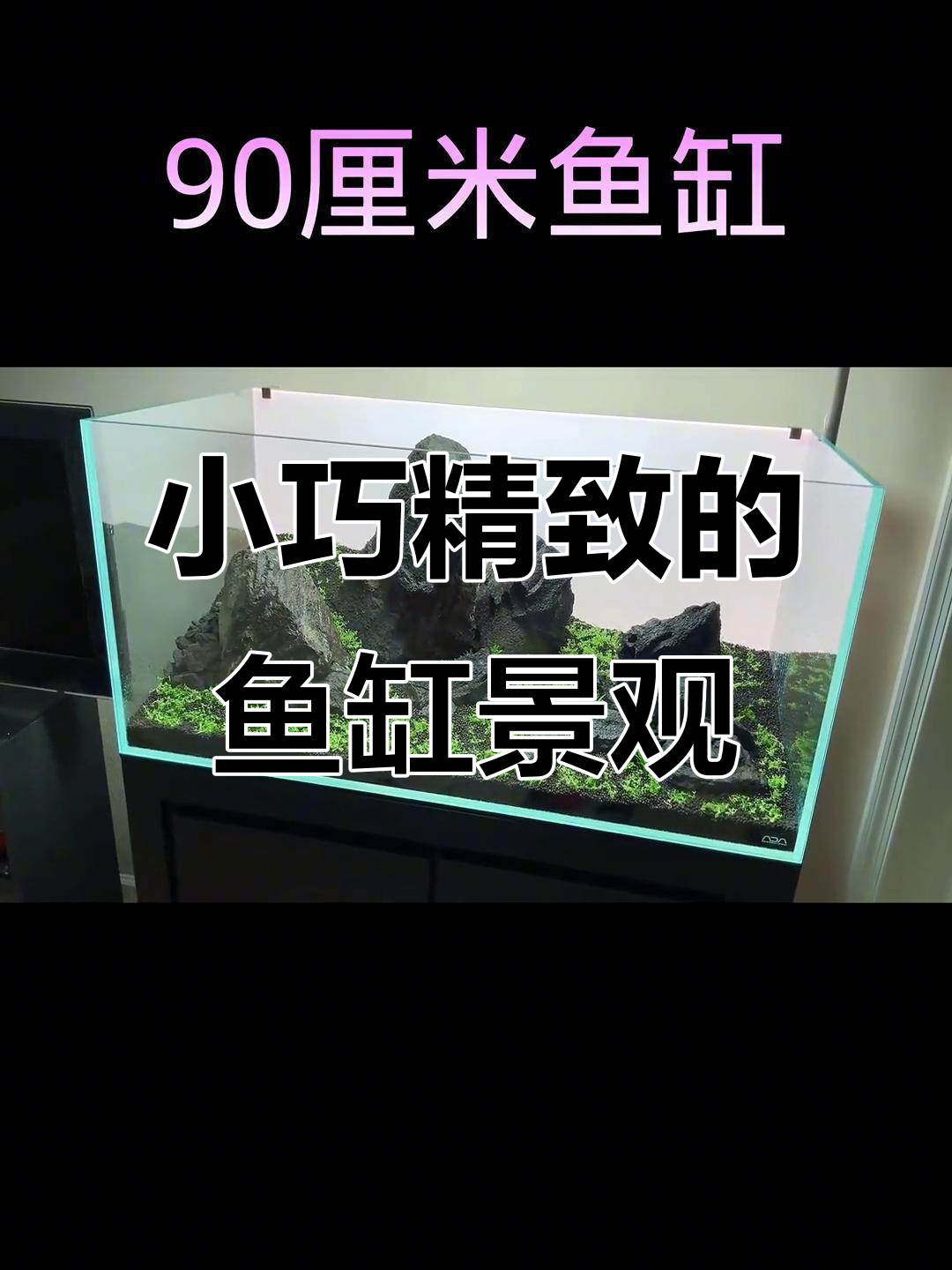 90厘米草缸造景全纪录,打造水族箱中的小世界