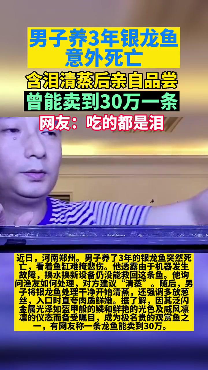 男子养3年龙鱼意外死亡含泪清蒸,曾能卖30万一条