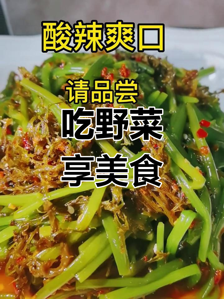 丽江野菜大餐,尝鲜美味