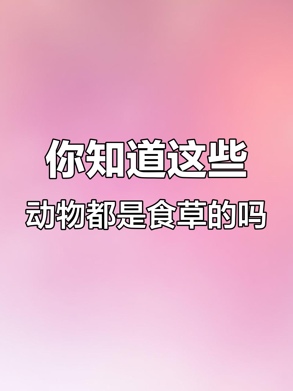 食草动物大揭秘:骆驼、雪豹、羊驼,哪些是“吃素”的?
