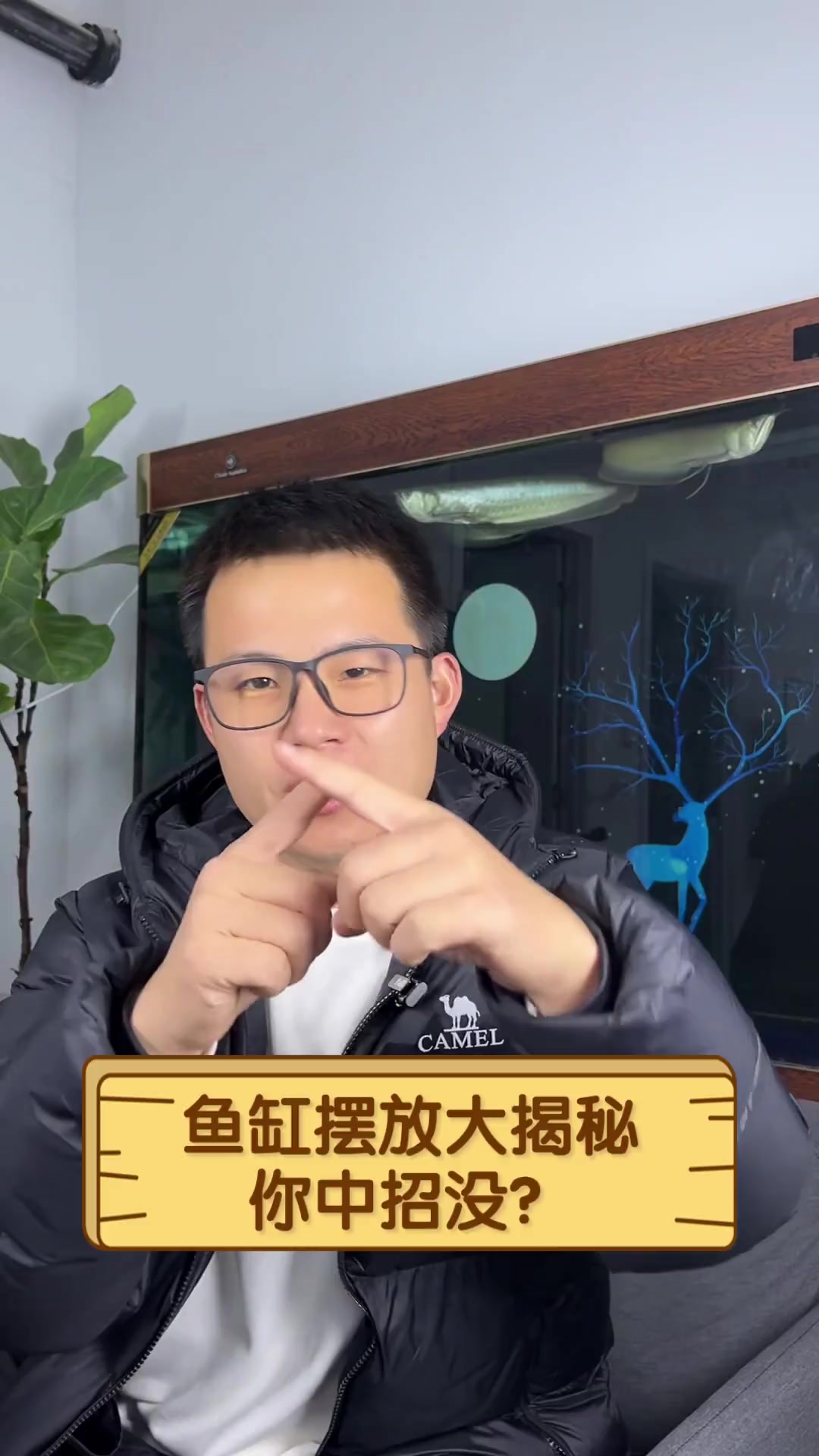 鱼缸摆放大揭秘,你中招没?