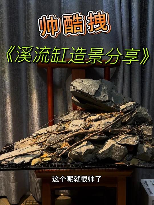 溪流缸造景分享