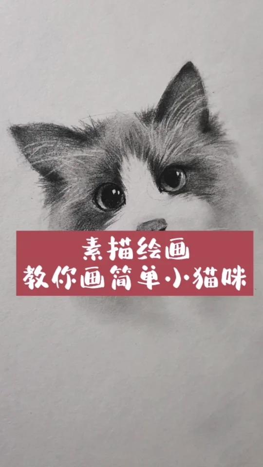 超级简单的小猫咪画法,看完画一画自家的猫咪吧