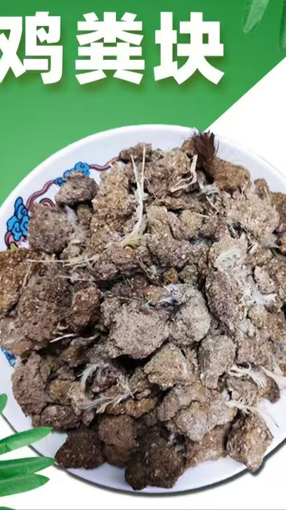 干鸡粪装车现场 鸡粪厂家