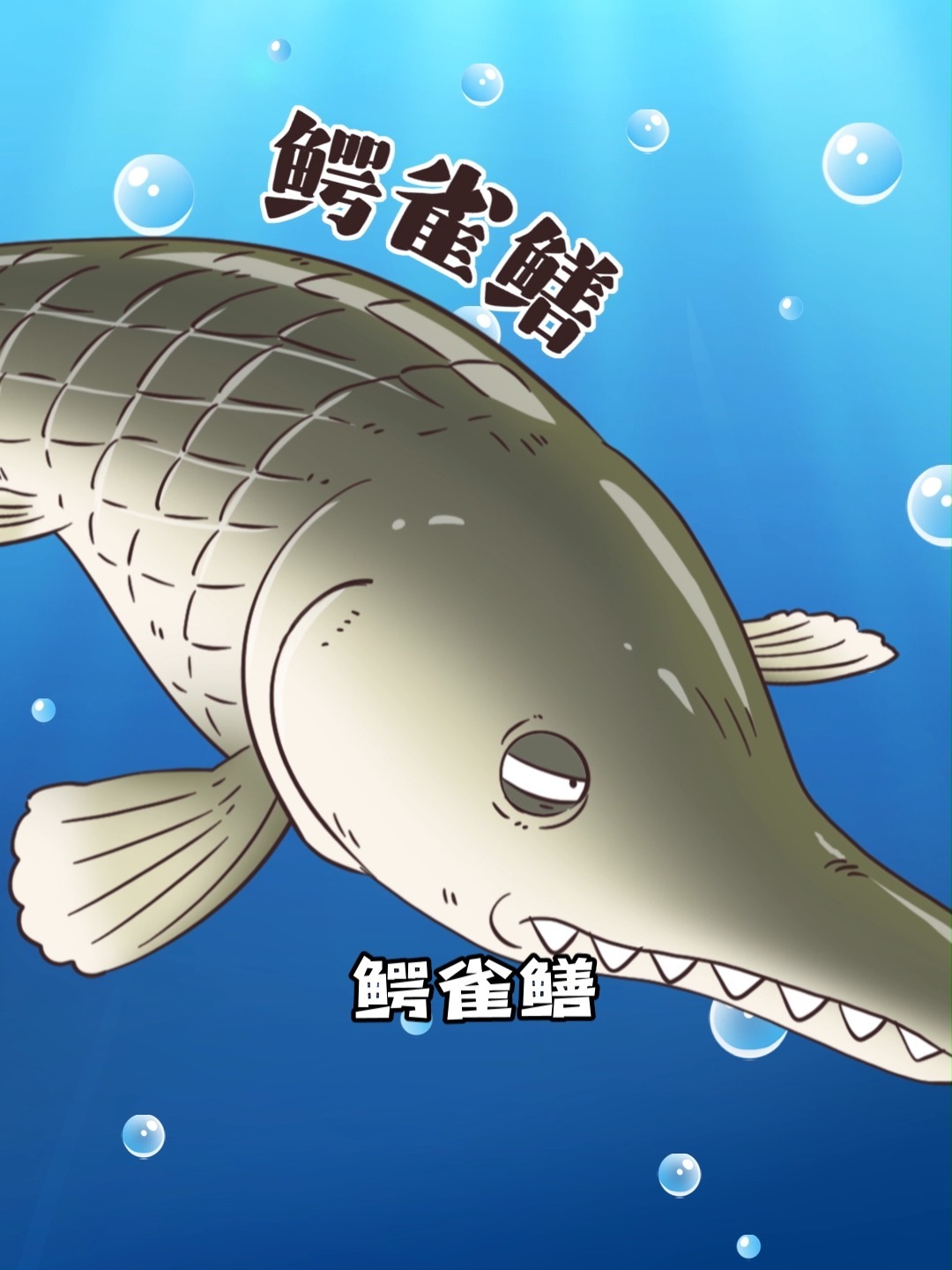鳄雀鳝,退退退!