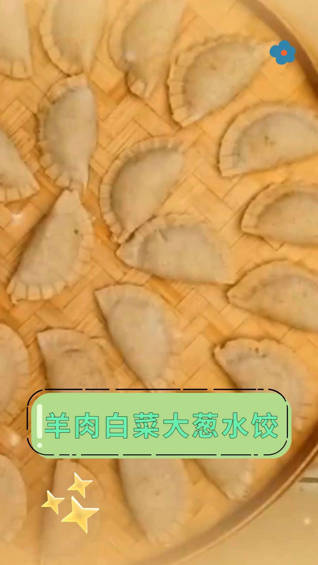 羊肉白菜大葱水饺