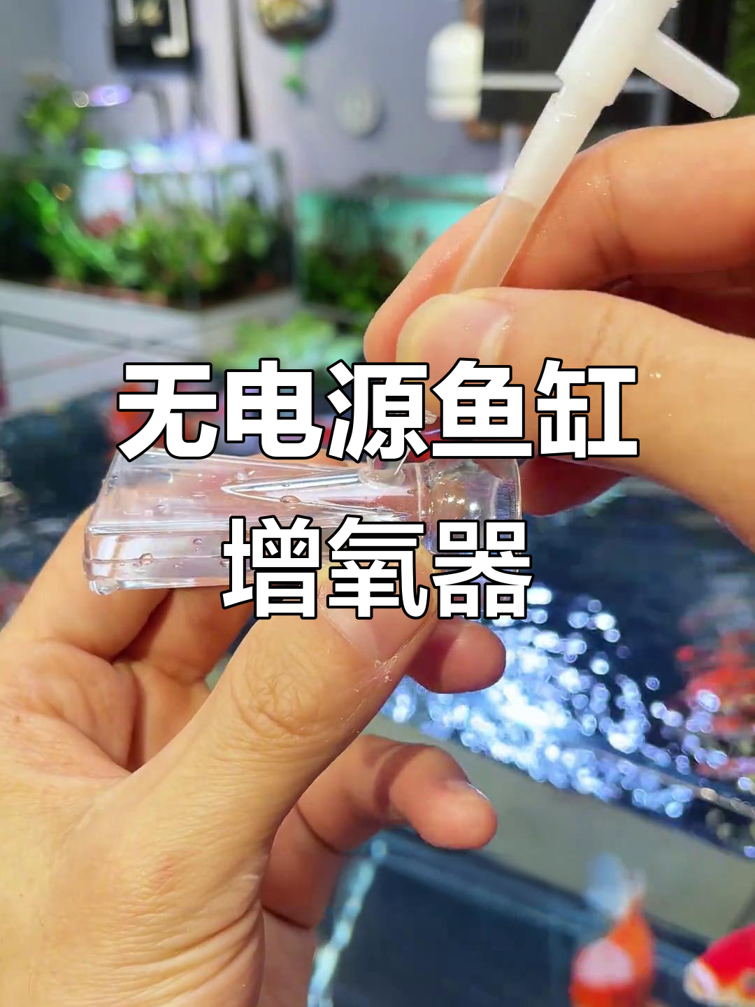 无需插电,鱼缸增氧小神器轻松搞定