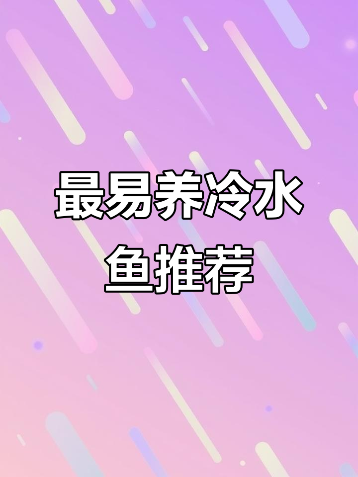 冷水鱼中的“不死之选”:最适合新手养的观赏品种