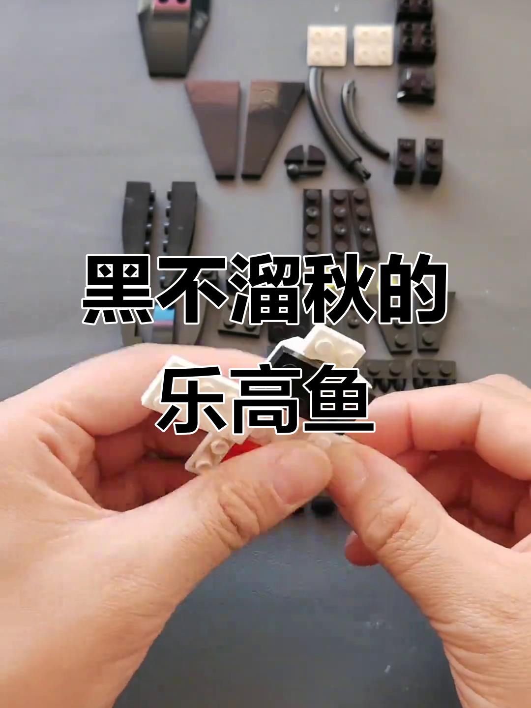 拼乐高鱼，内心野兽觉醒！