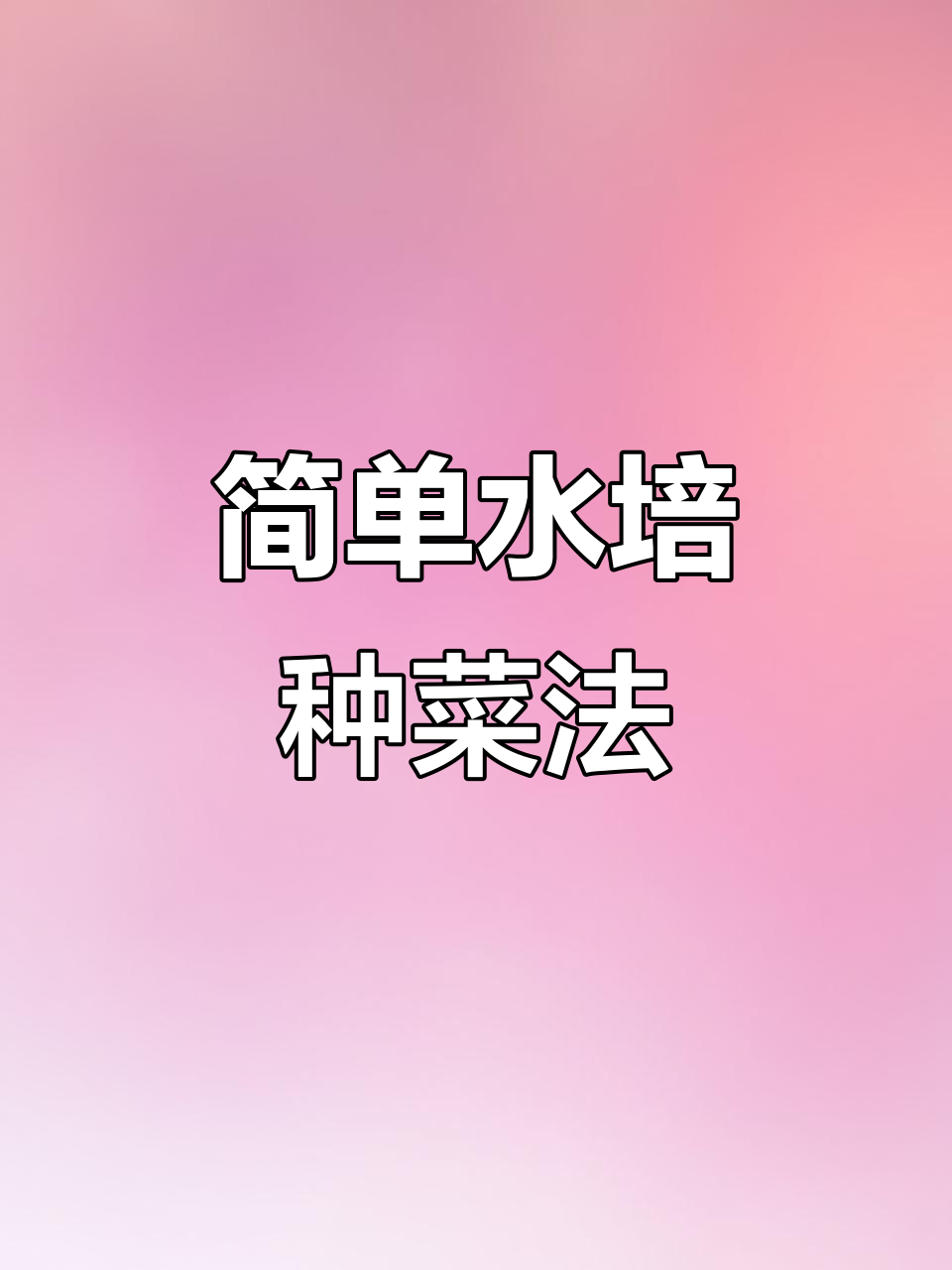 水培芽苗菜全攻略,轻松学会种植技巧