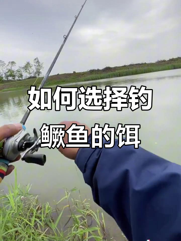 钓鳜鱼用饵技巧：大小、颜色如何选才有效