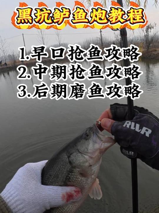 路亚黑坑鲈鱼前中后期保姆级教程新手少走弯路