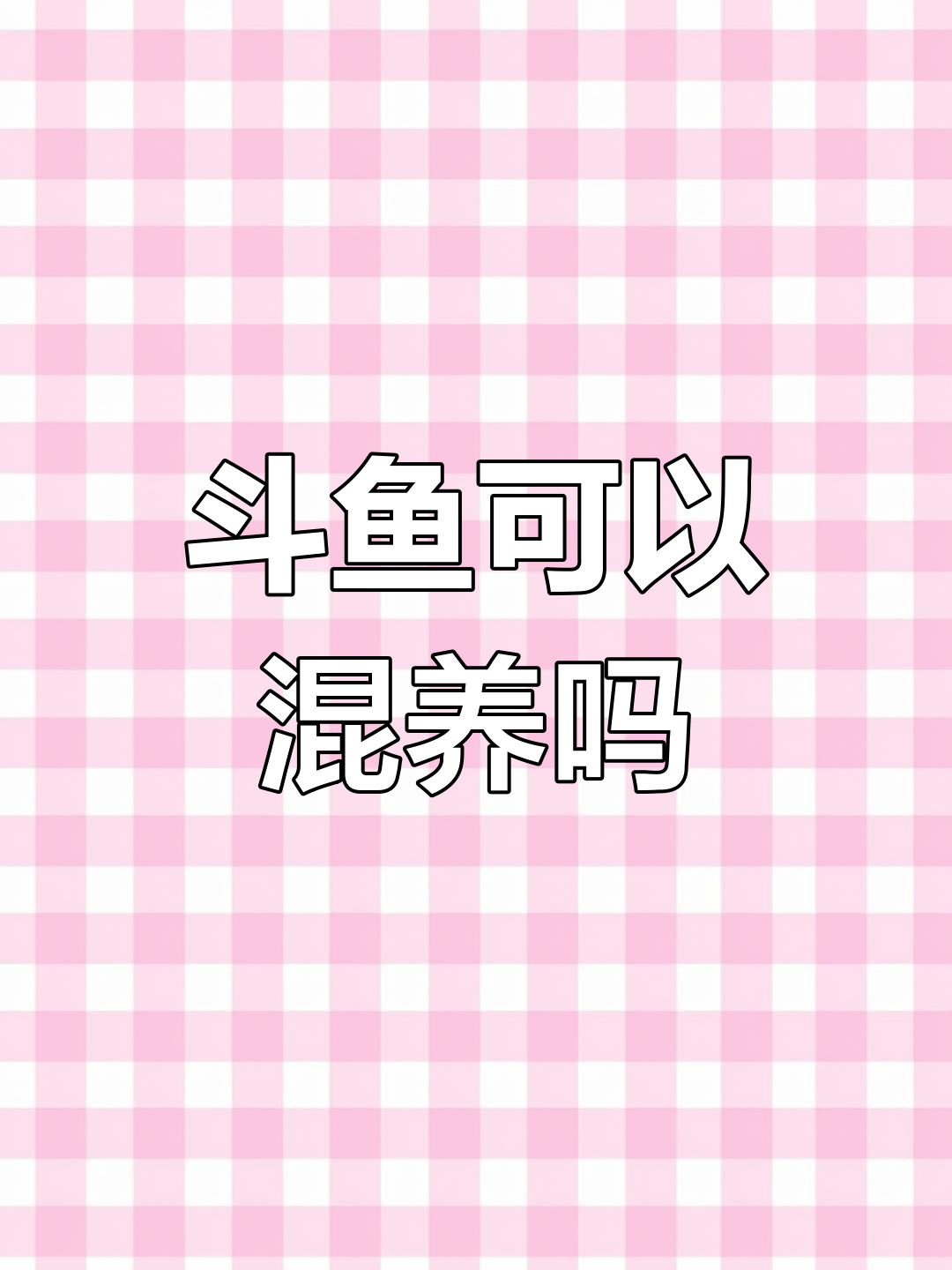 斗鱼能和其他鱼类一起养吗?单养还是群养的正确选择