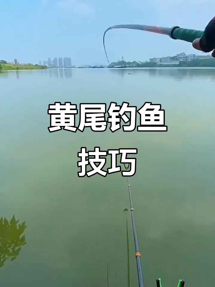 如何选择饵料和钓位,轻松捕获黄尾鱼?