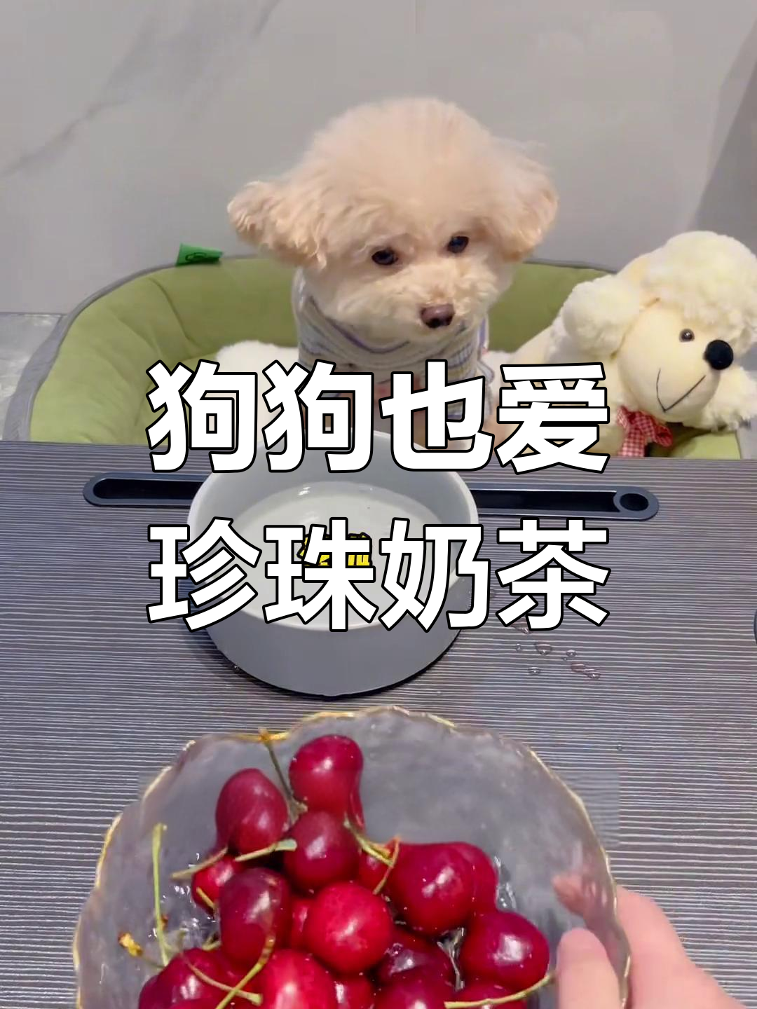 小狗的奶茶日常,健康又美味