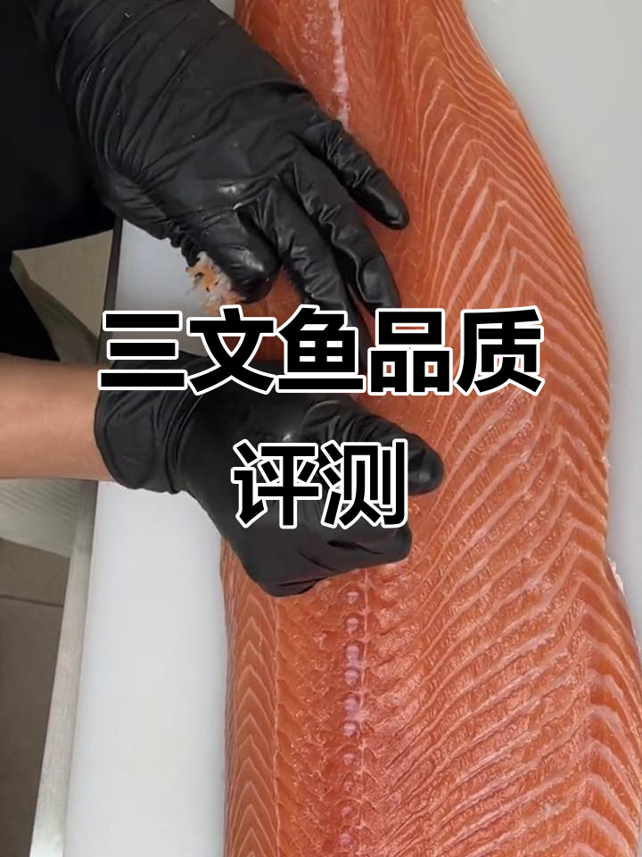 1000块买一条三文鱼，值不值？开箱看看品质如何