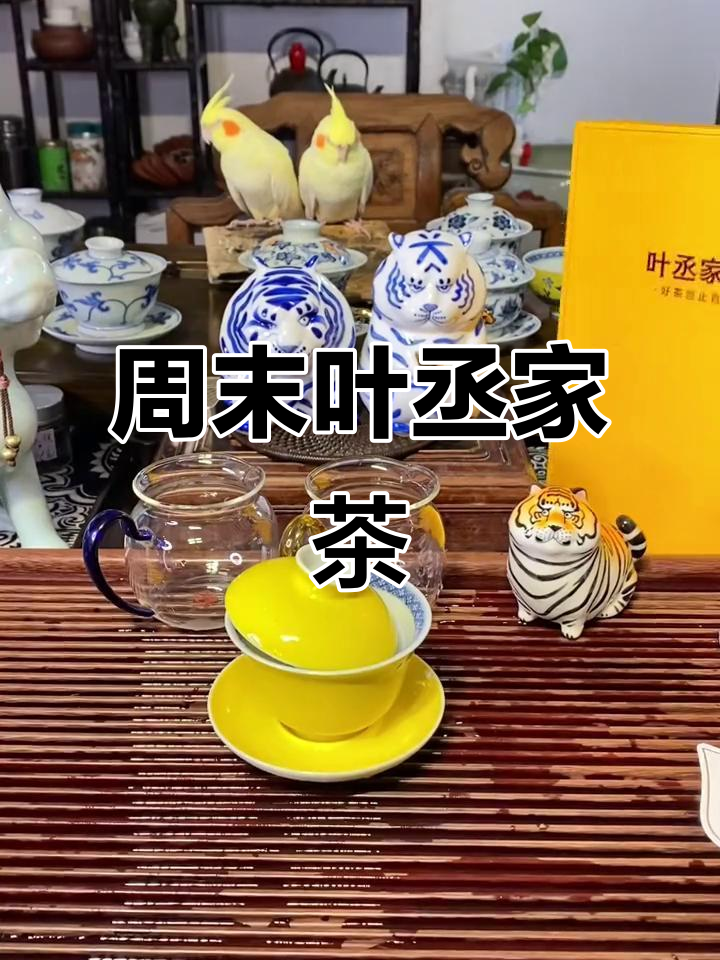 周末品茶时光,斑竹窠肉桂摇起盖碗