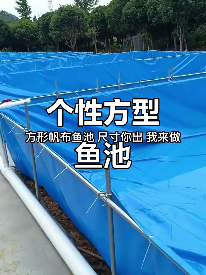 刀刮布方形鱼池设计,打造个性化长方形水景