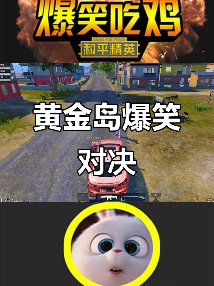 黄金岛大乱斗,雪瑶和天成搞笑互动全程笑翻