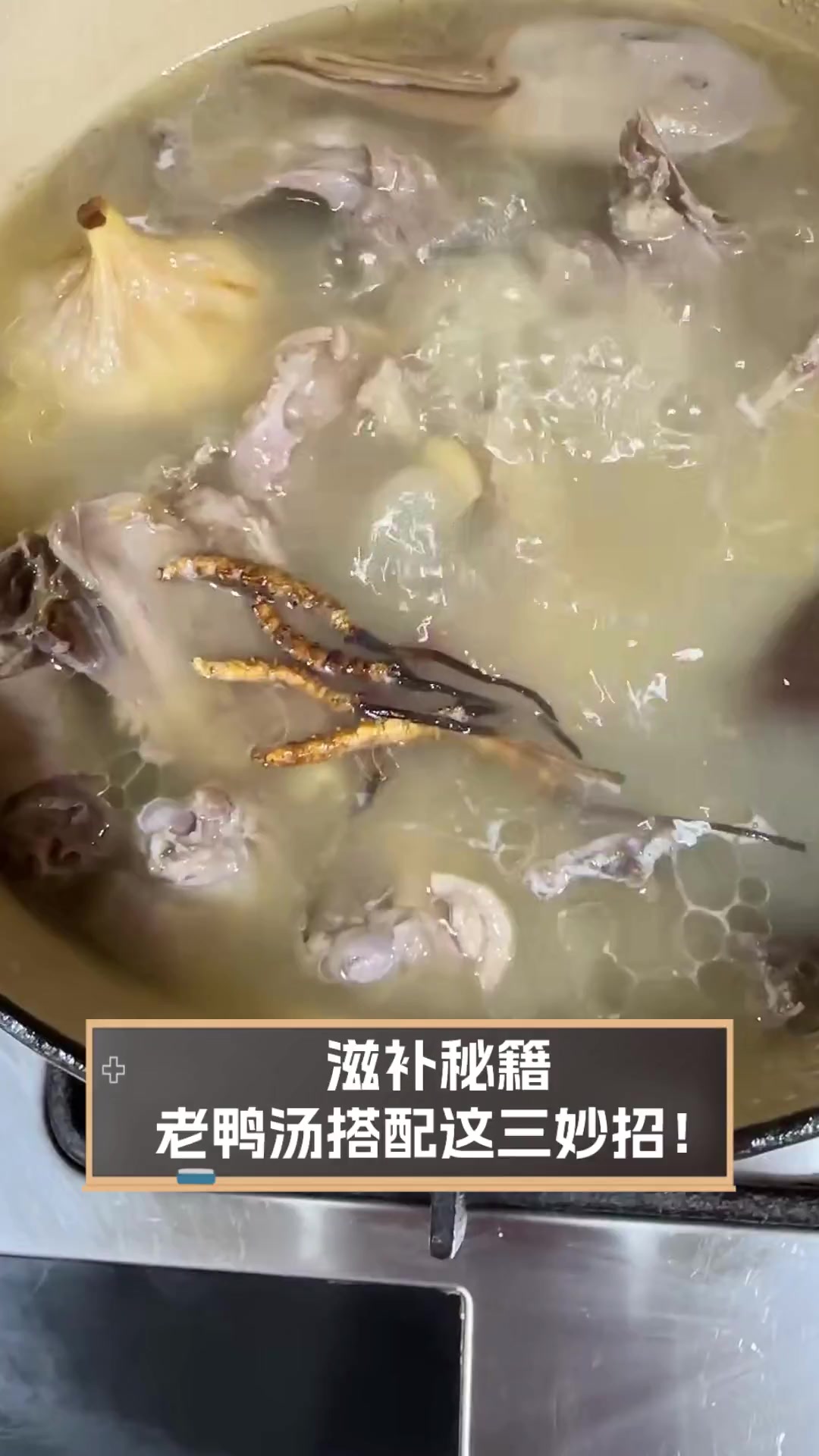 滋补秘籍,老鸭汤搭配这三妙招!