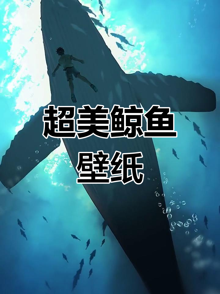 4K超清鲸鱼动态壁纸,震撼视觉体验