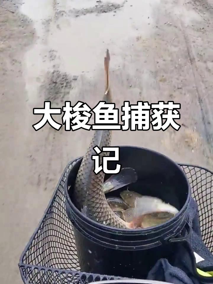 抓到大梭鱼,挑战极限操作!