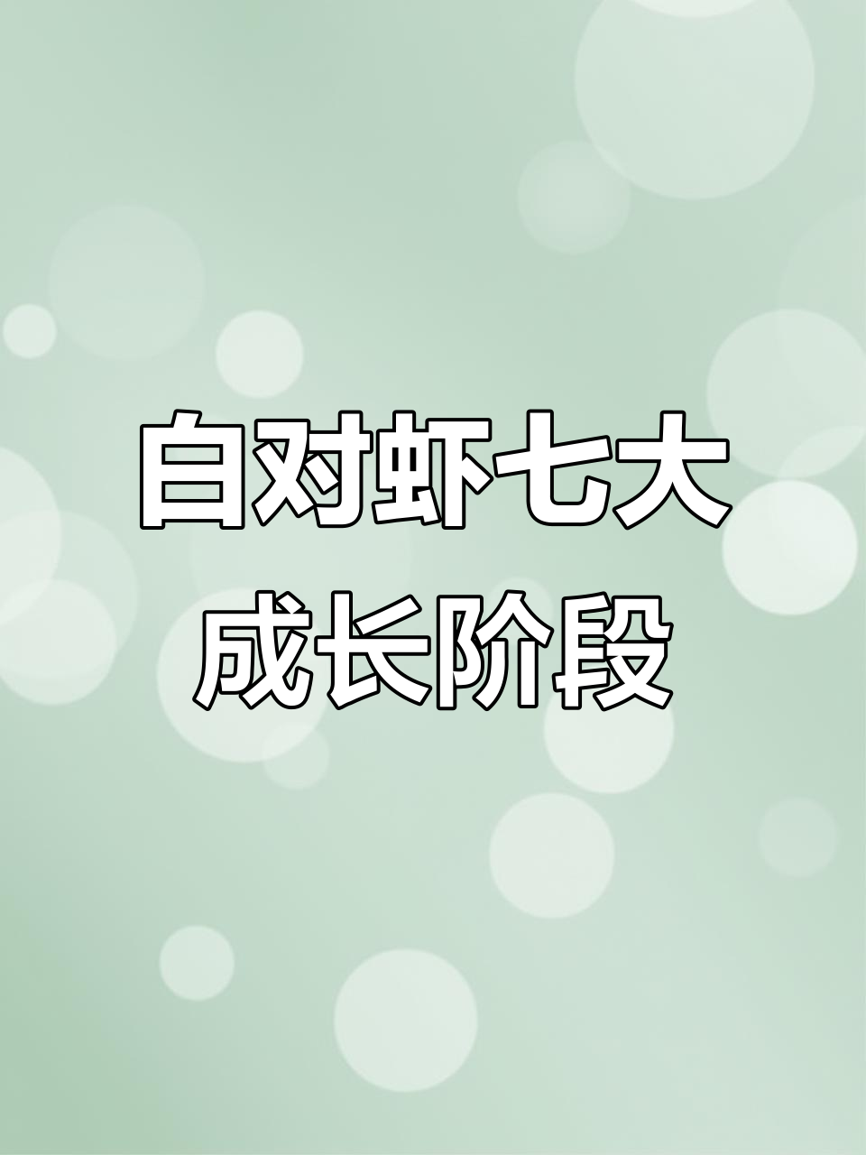 南美白对虾生长全过程揭秘,七个阶段全解析