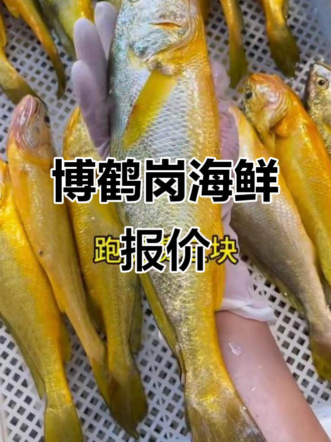 博贺港海鲜市场大揭秘:本地九节虾、黄花鱼等价格一览
