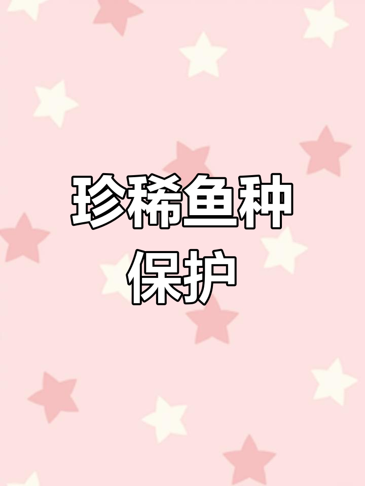 新疆阿勒泰鱼类保护,守护边远水域的珍稀生命