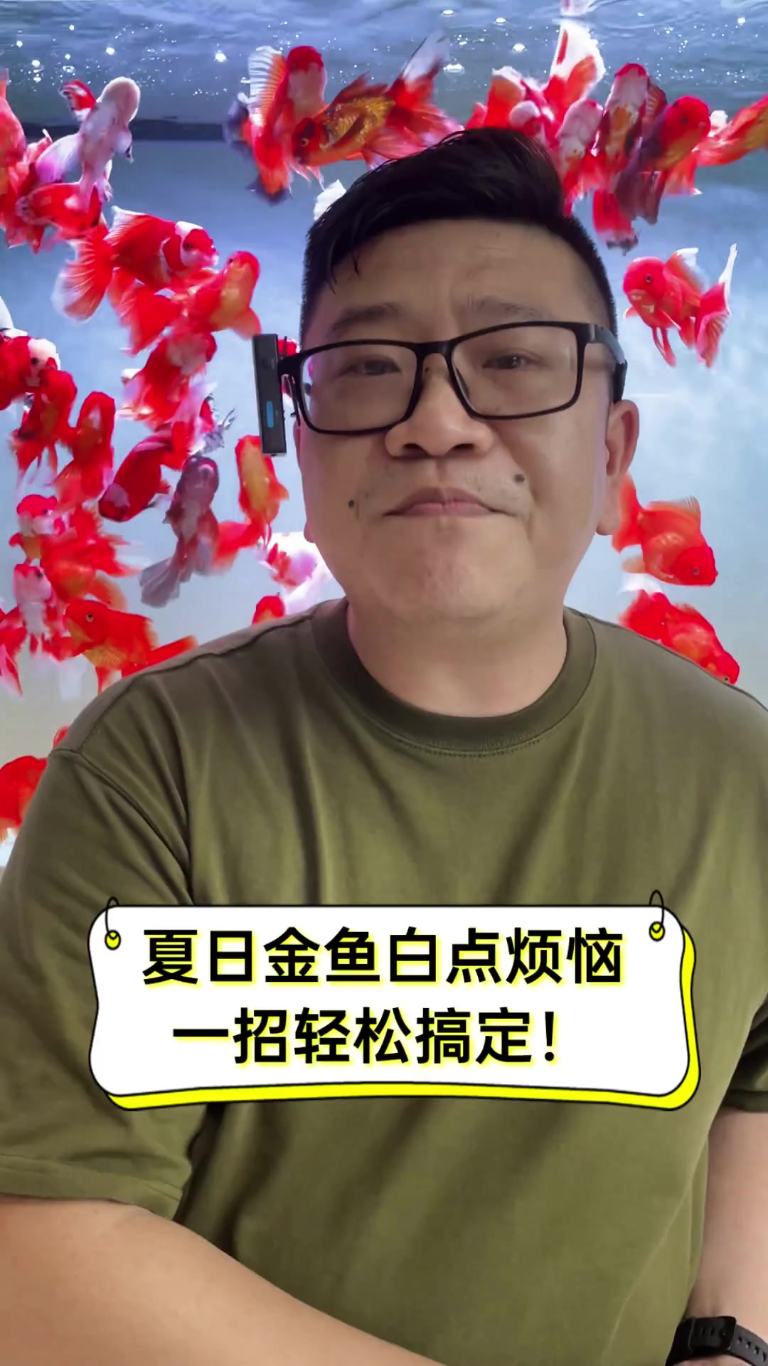 夏日金鱼白点烦恼,一招轻松搞定!
