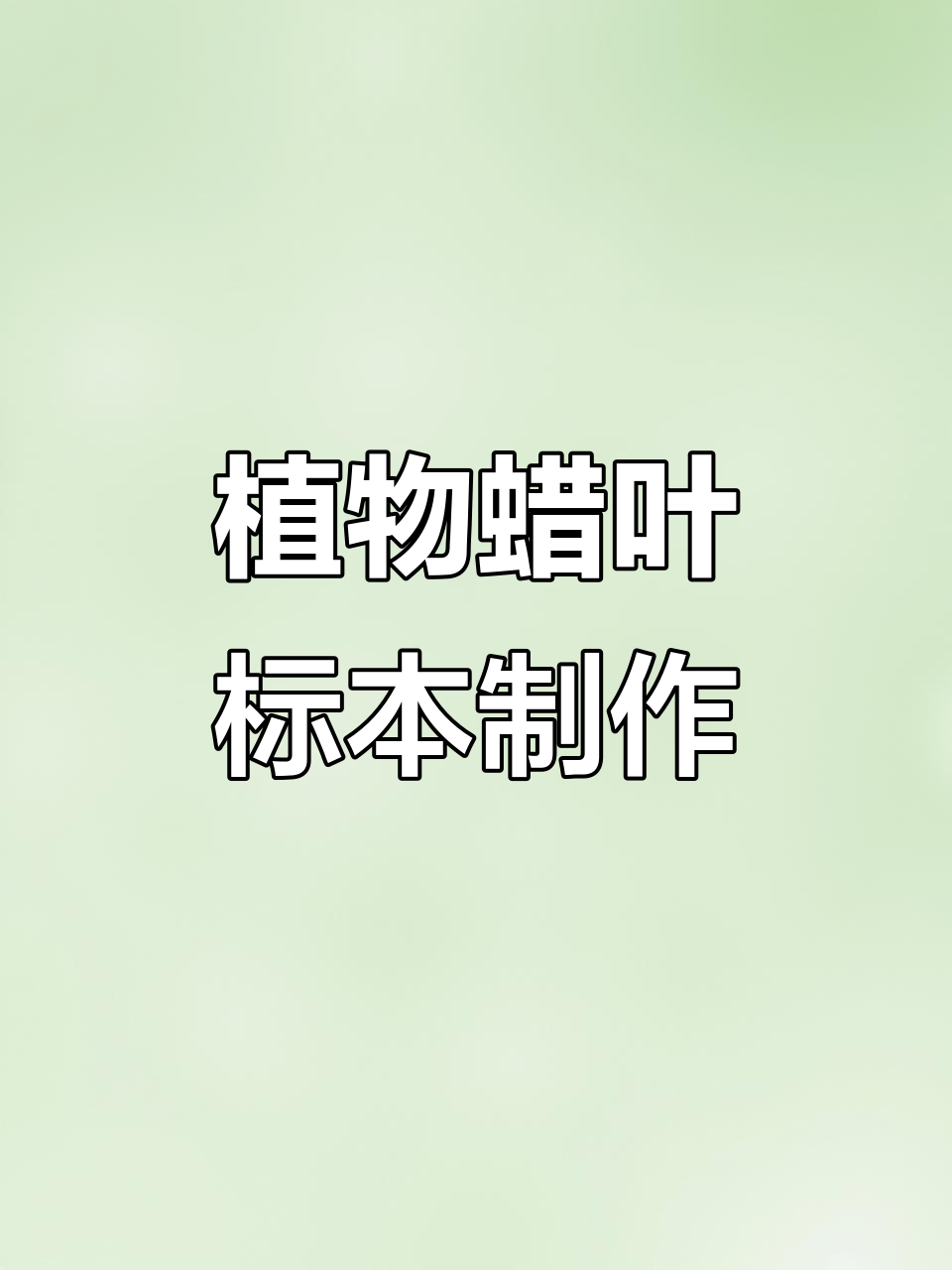 制作植物蜡叶标本,简单步骤教你保色技巧