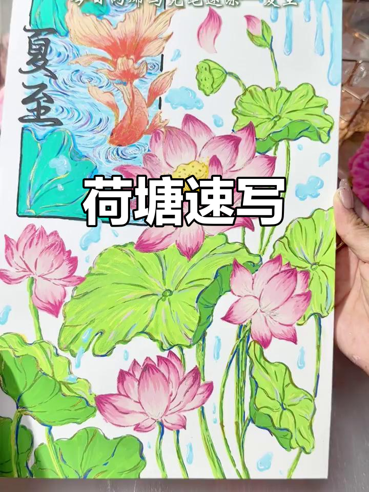 夏至荷花池塘速涂,丙烯马克笔下的清新美景
