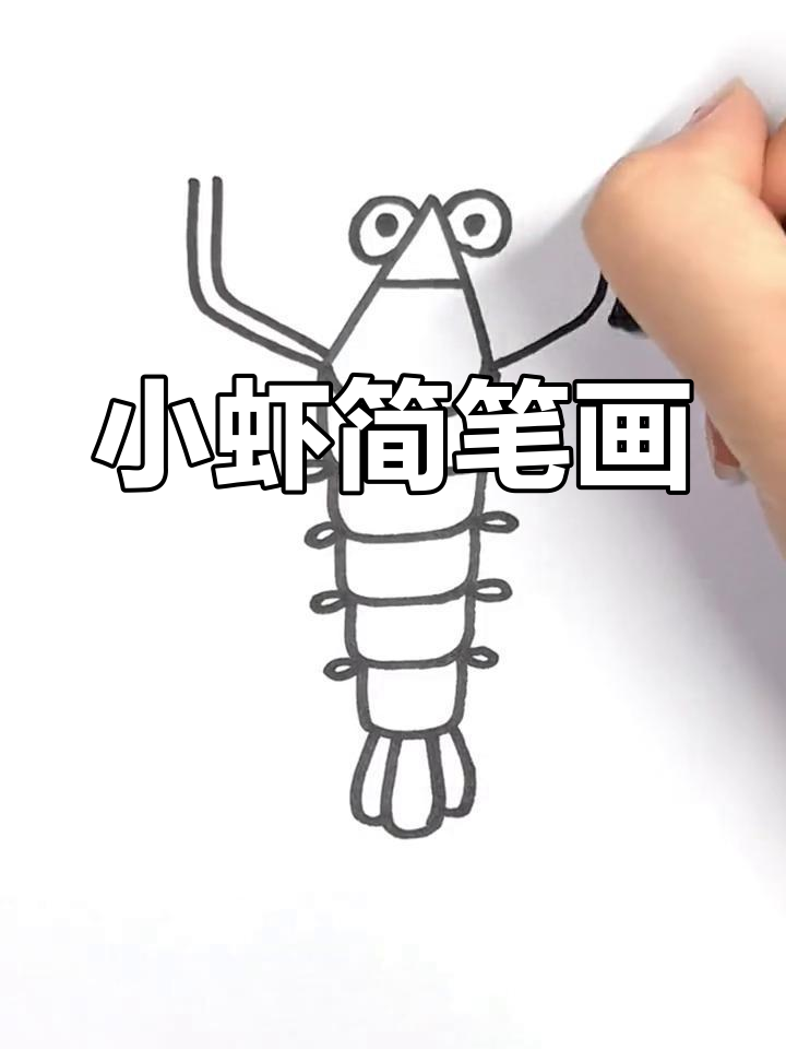 简单易学的可爱小虾简笔画教程