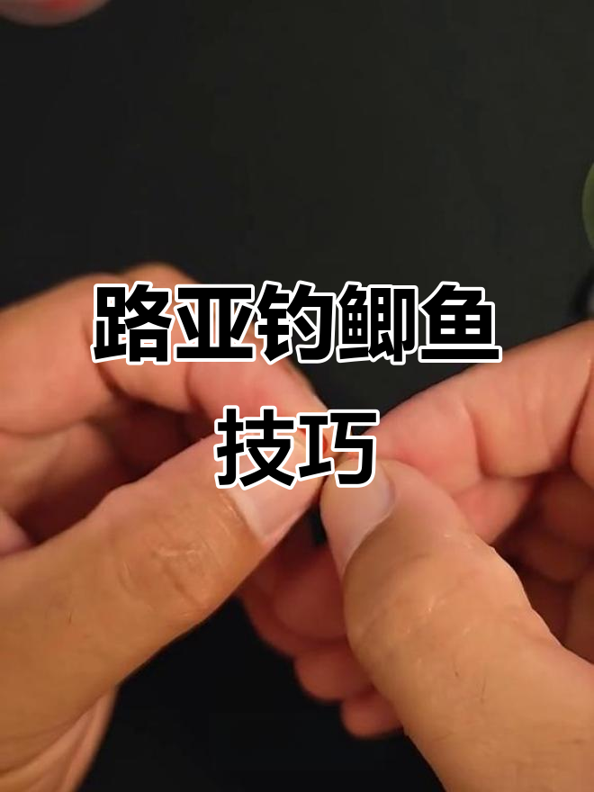 路亚钓鲫鲤超简单，绑法轻松掌握
