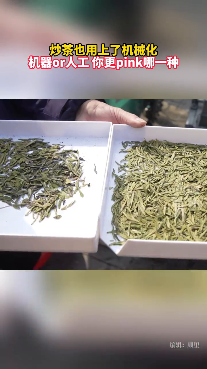春茶即将上市,机器炒茶or人工炒茶,你更pink哪一种