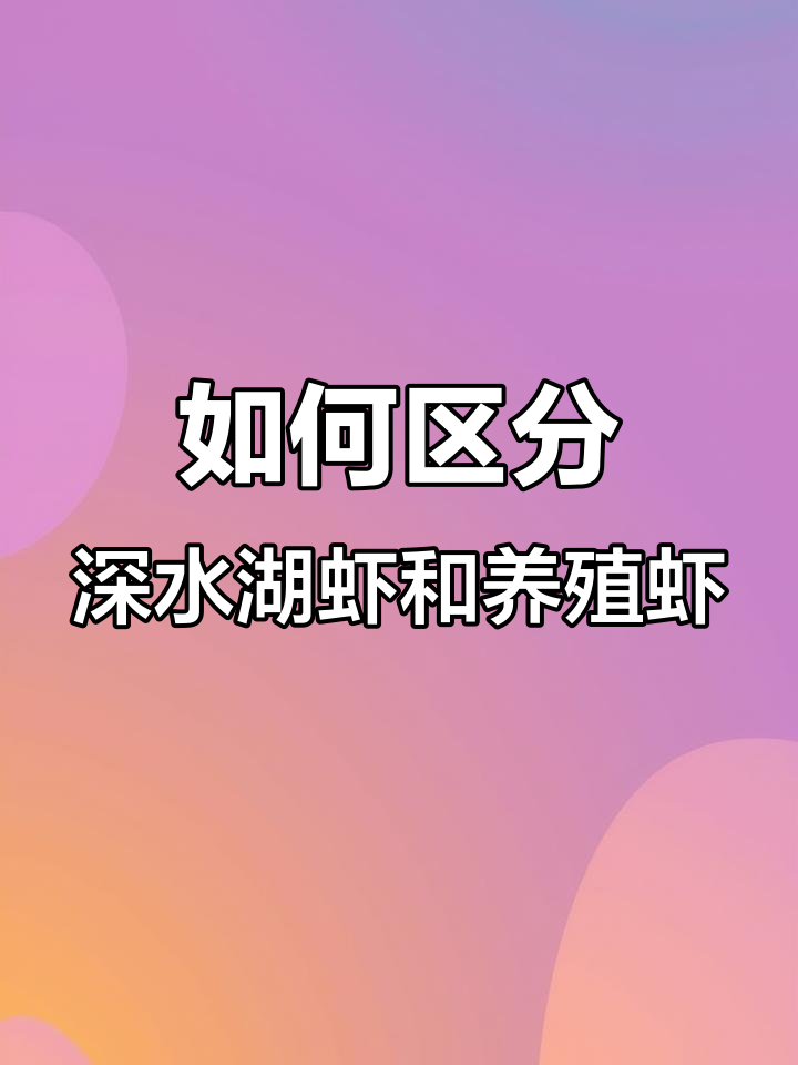 深水湖虾与养殖虾大不同,教你如何挑选!