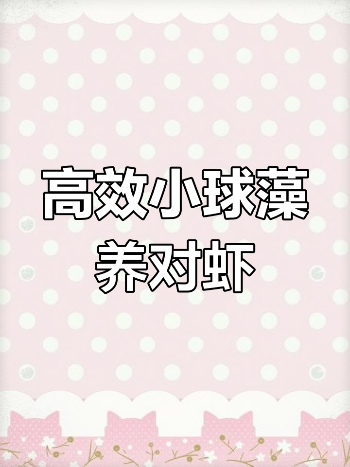 小球藻助力对虾养殖,快速繁殖高营养