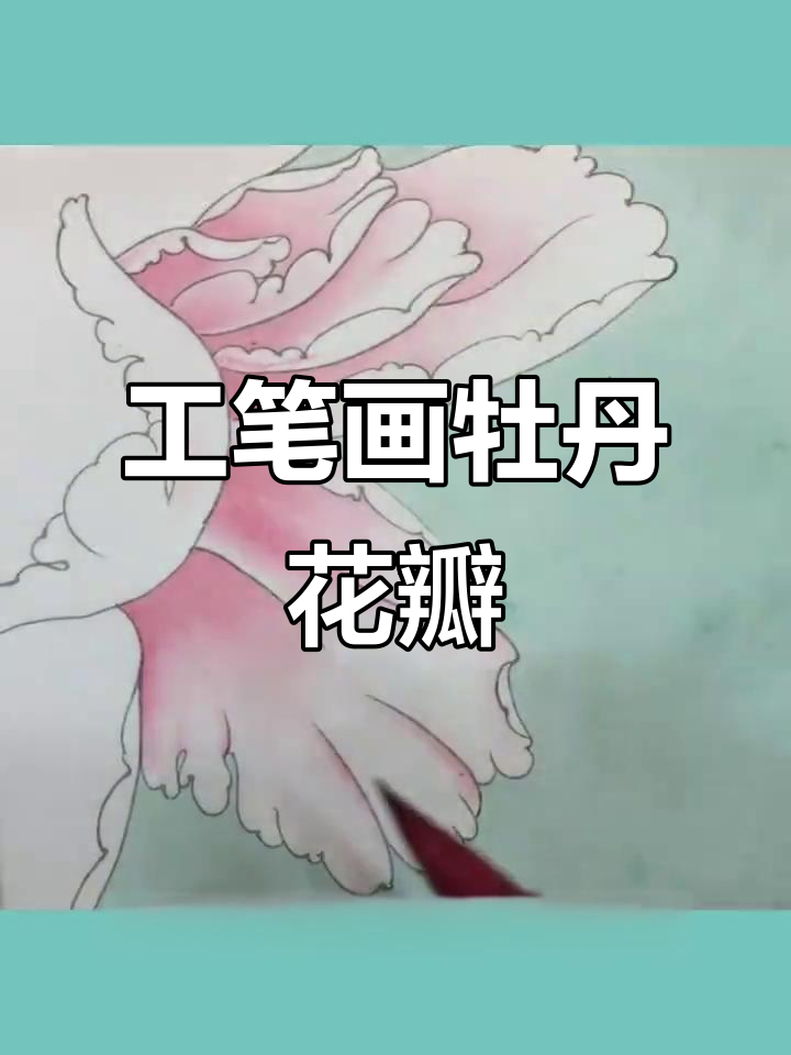 斑马工笔牡丹花瓣绘制技巧：从淡红到深色的渐变过程