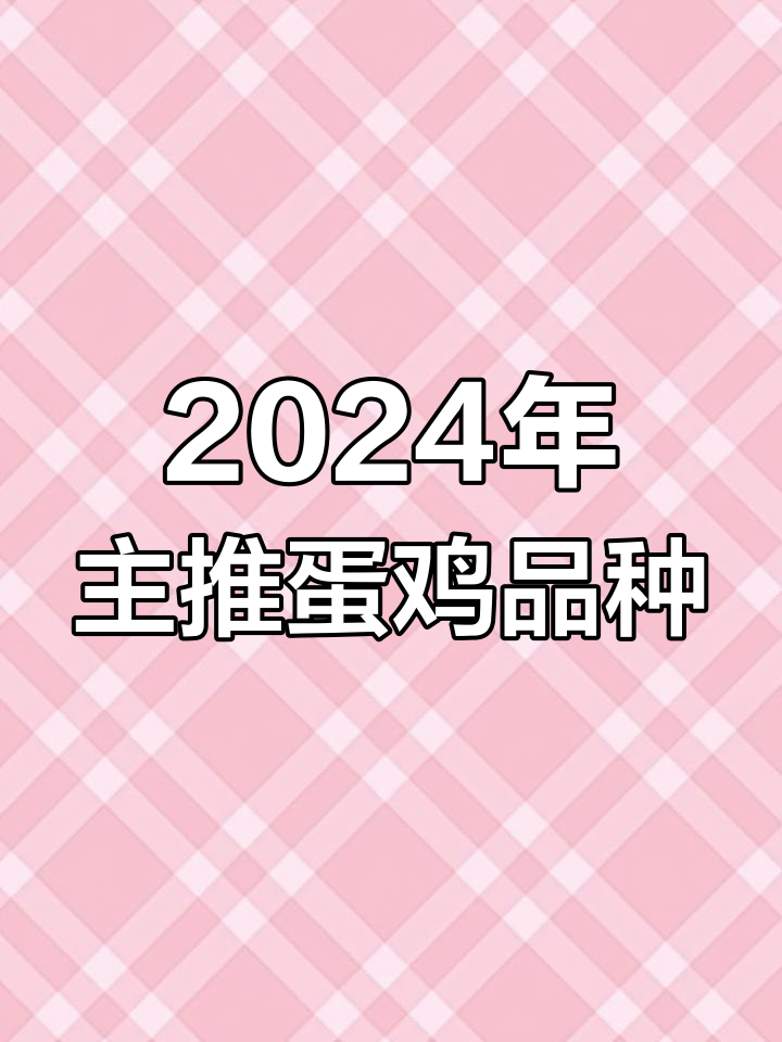 2024年主导蛋鸡品种公布,大午金凤与京粉6号谁更值得关注?