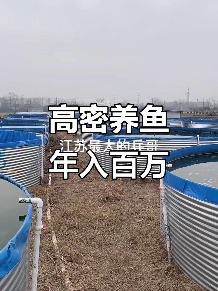 江苏养殖基地揭秘:陆地高密度水产养殖,轻松赚百万